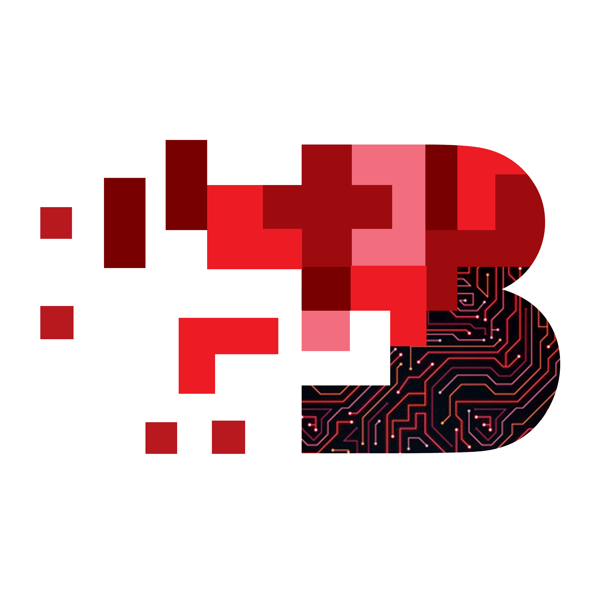 bits_logo